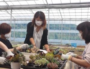 受講生が講師に多肉植物の寄せ植え方を教わっている様子