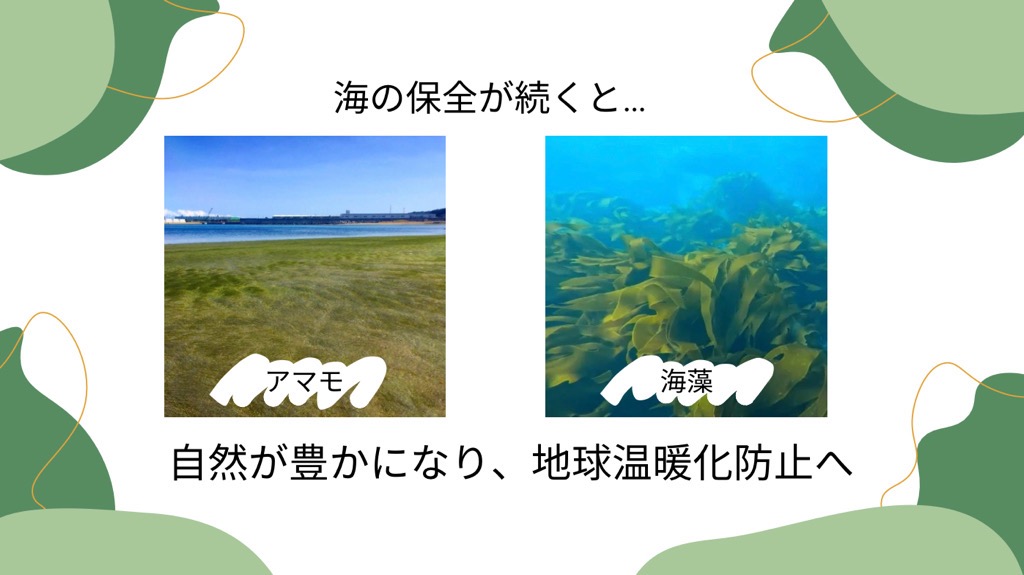 ECOタネvol.2-3