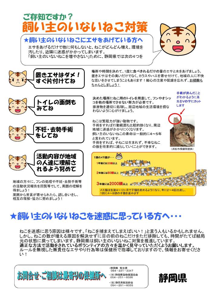 飼い主のいない猫について