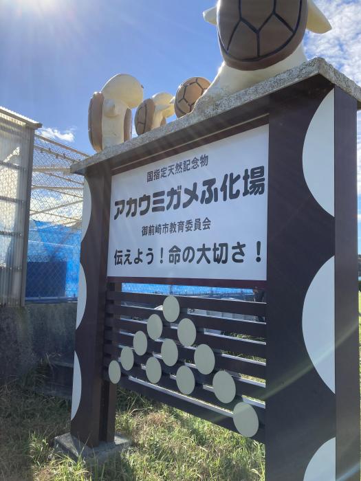 アカウミガメふ化場