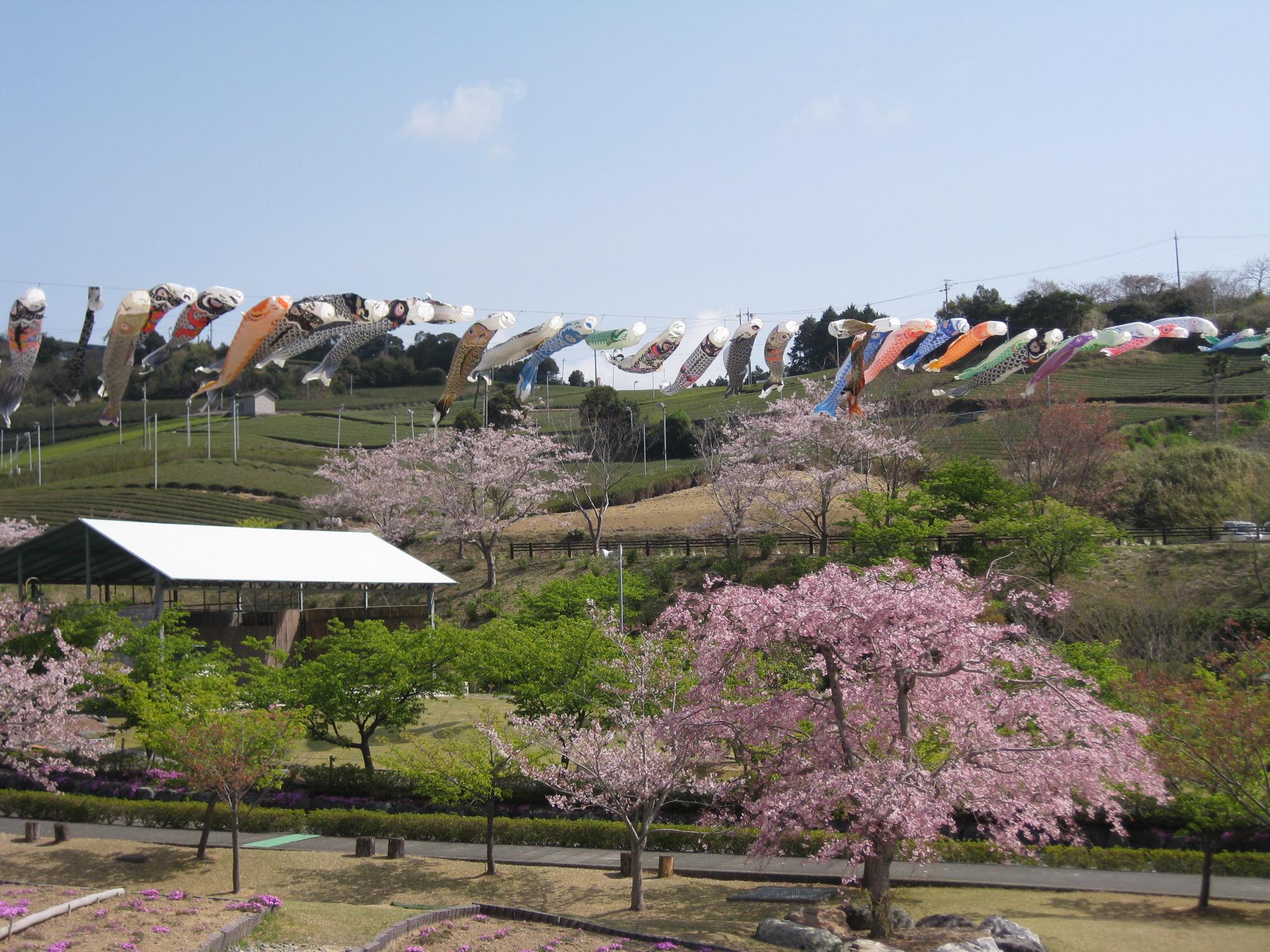 あらさわふる里公園