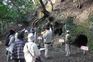 薩田ヶ谷横穴群を見学している様子