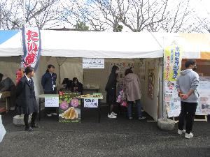 干し芋プロジェクト池高生様子