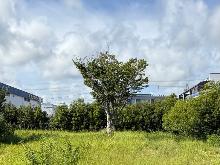 収用代替地_写真