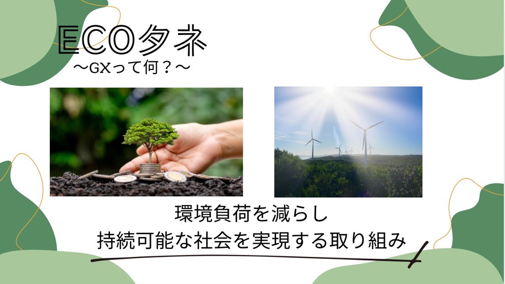 エコタネ1
