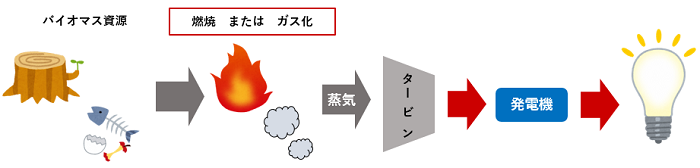 バイオマス発電の発電方法の図